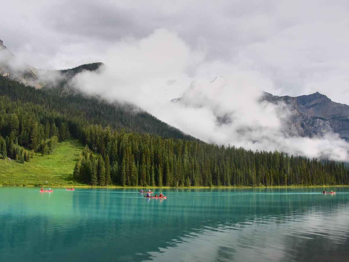 A Beginner’s Guide to Match&nbsp;Type